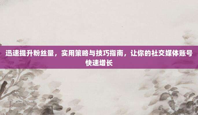 迅速提升粉丝量，实用策略与技巧指南，让你的社交媒体账号快速增长