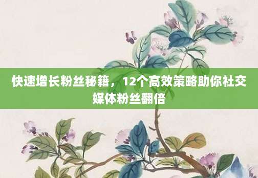 快速增长粉丝秘籍,12个高效策略助你社交媒体粉丝翻倍