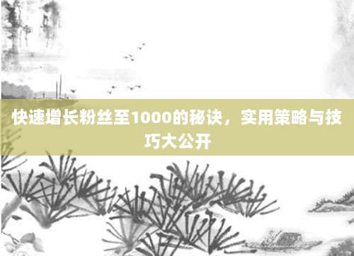 快速增长粉丝至1000的秘诀,实用策略与技巧大公开