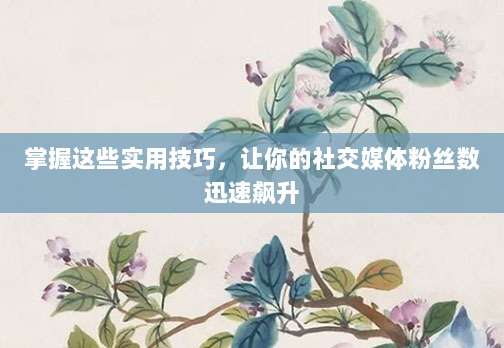 掌握这些实用技巧，让你的社交媒体粉丝数迅速飙升