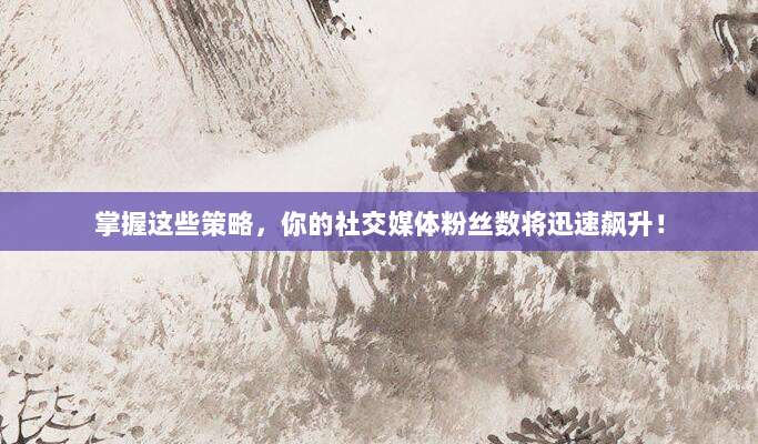 掌握这些策略，你的社交媒体粉丝数将迅速飙升！