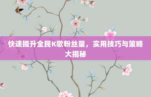快速提升全民K歌粉丝量,实用技巧与策略大揭秘