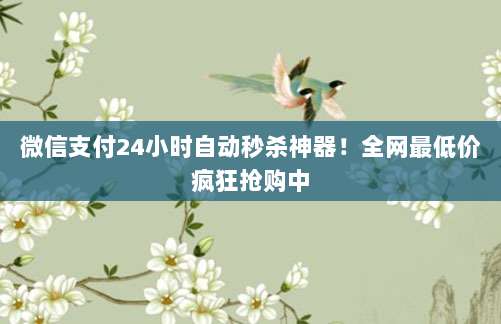 微信支付24小时自动秒杀神器!全网最低价疯狂抢购中