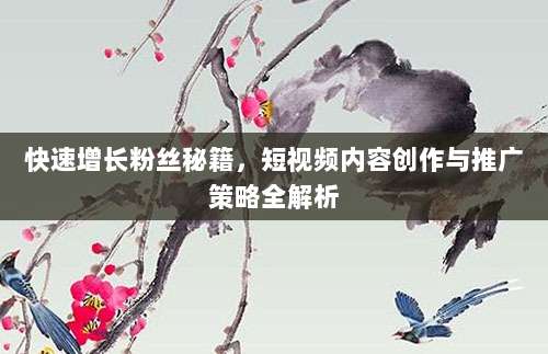 快速增长粉丝秘籍，短视频内容创作与推广策略全解析