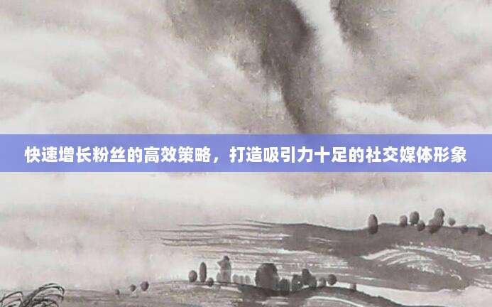 快速增长粉丝的高效策略，打造吸引力十足的社交媒体形象