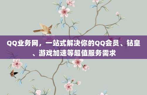 QQ业务网,一站式解决你的QQ会员、钻皇、游戏加速等超值服务需求
