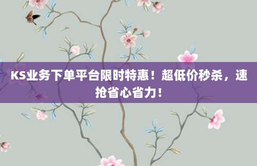 KS业务下单平台限时特惠!超低价秒杀,速抢省心省力!
