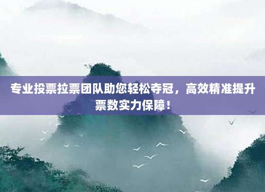 专业投票拉票团队助您轻松夺冠,高效精准提升票数实力保障!