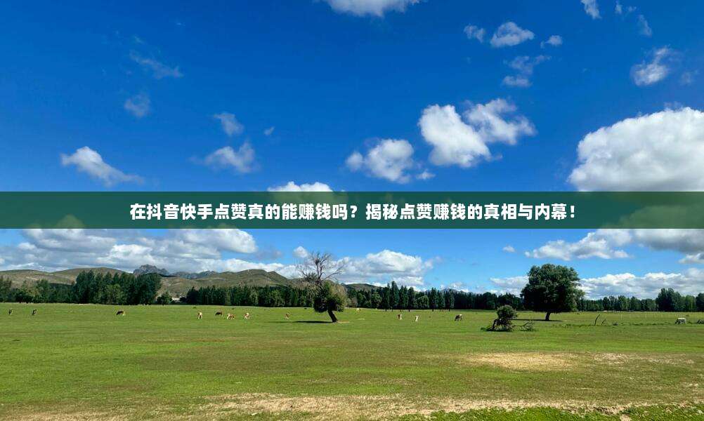 在抖音快手点赞真的能赚钱吗?揭秘点赞赚钱的真相与内幕!