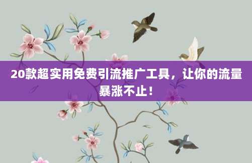 20款超实用免费引流推广工具,让你的流量暴涨不止!