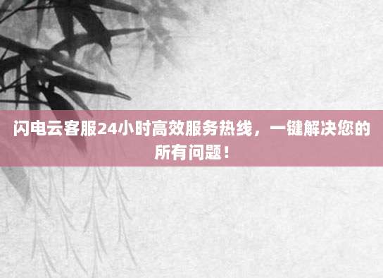 闪电云客服24小时高效服务热线,一键解决您的所有问题!