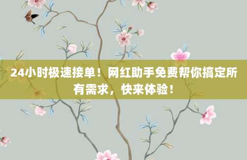 24小时极速接单!网红助手免费帮你搞定所有需求,快来体验!