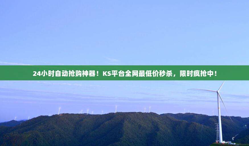 24小时自动抢购神器！KS平台全网最低价秒杀，限时疯抢中！