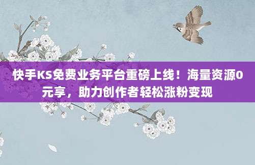 快手KS免费业务平台重磅上线!海量资源0元享,助力创作者轻松涨粉变现